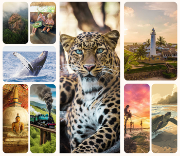 sri lanka private tour